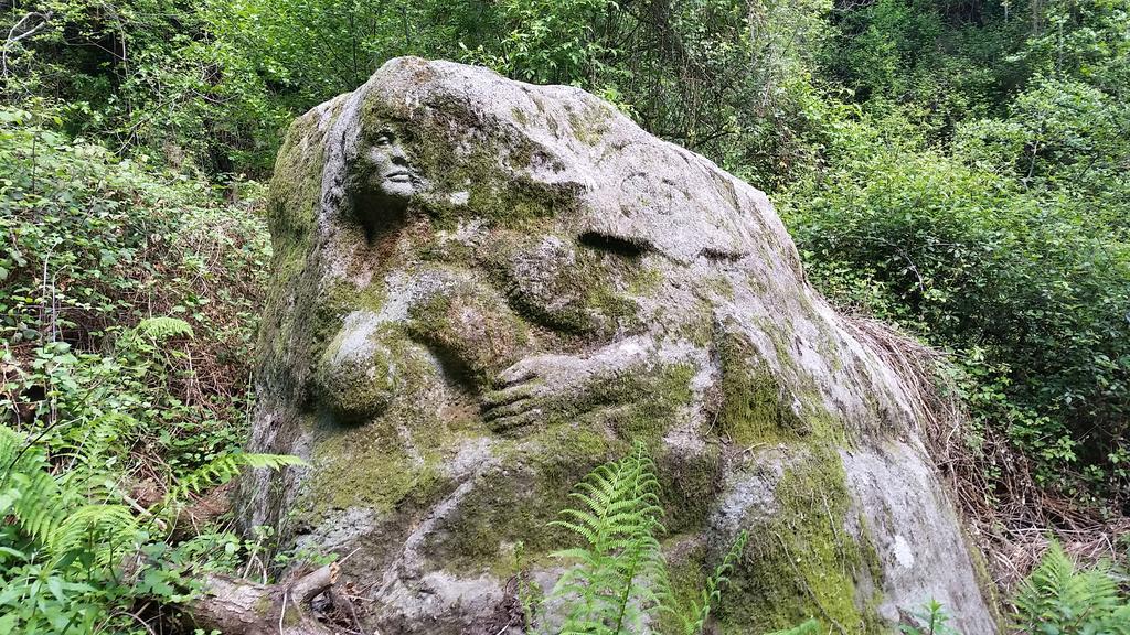 Il Debbio Vila Riccò del Golfo di Spezia Exterior foto